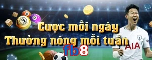 fb8